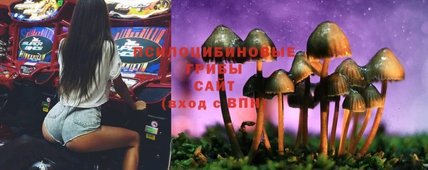 стафф Кукмор